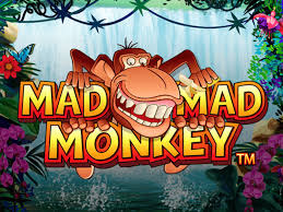 Mengenal Cara Bermain Mad Monkey H5